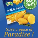 Paradise All Natural Non-GMO No Sugar Added Dried Mango